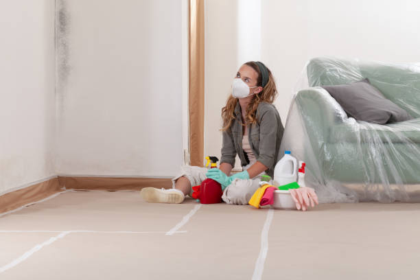Reliable Mold Remediation contractor in Waverly, MN by WQB Mold Removal